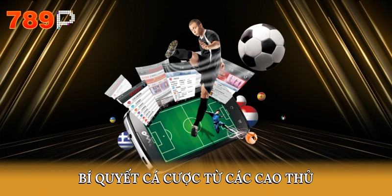 Bí quyết cá cược từ các cao thủ