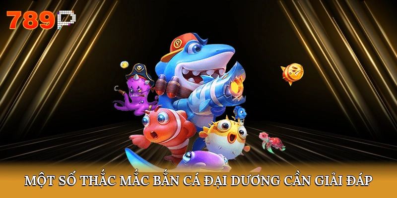 Một số thắc mắc bắn cá đại dương cần giải đáp
