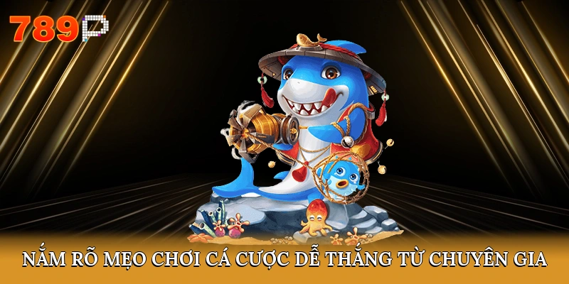 Nắm rõ mẹo chơi cá cược dễ thắng từ chuyên gia