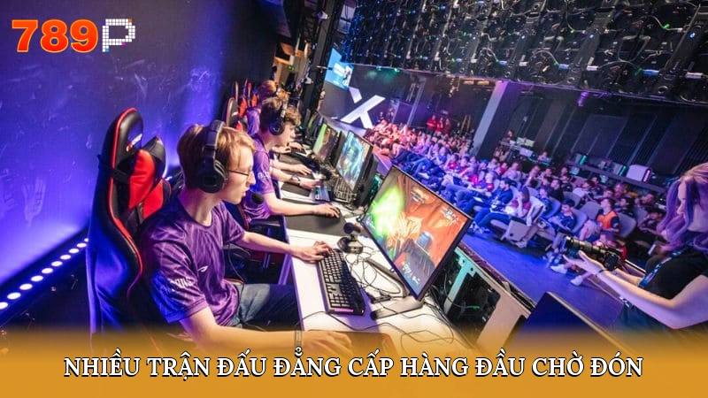 Nhiều trận đấu đẳng cấp hàng đầu chờ đón