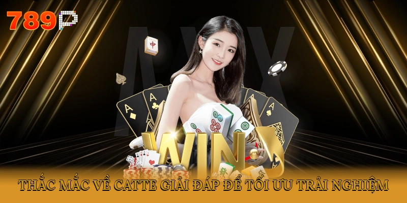 Thắc mắc về Catte giải đáp để tối ưu trải nghiệm